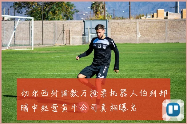切尔西封堵数万抢票机器人伯利却暗中经营黄牛公司真相曝光
