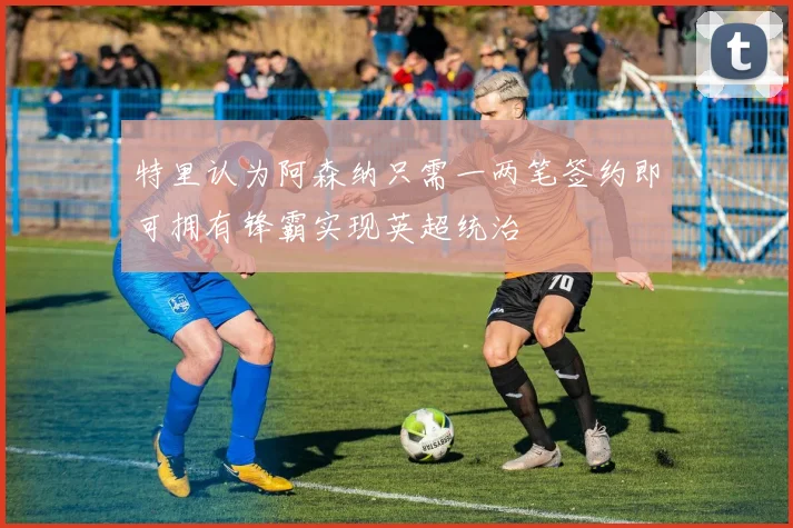 特里认为阿森纳只需一两笔签约即可拥有锋霸实现英超统治