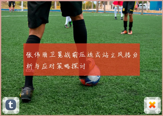 张伟丽卫冕战前压迫式站立风格分析与应对策略探讨