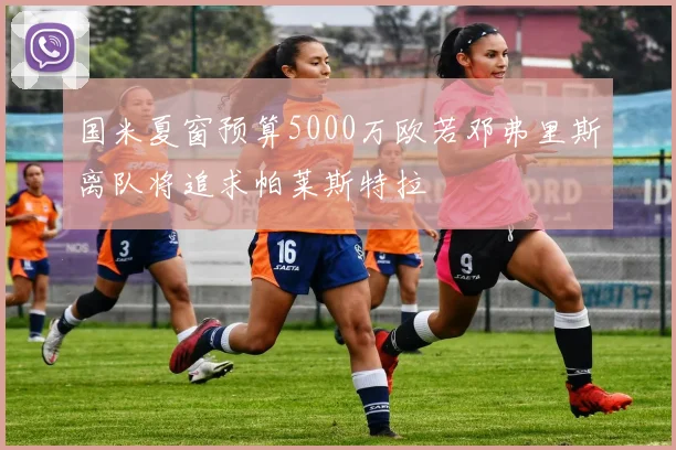 国米夏窗预算5000万欧若邓弗里斯离队将追求帕莱斯特拉
