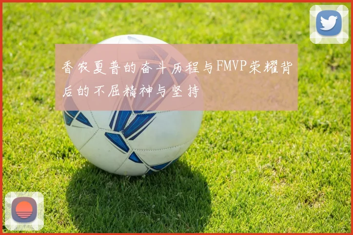 香农夏普的奋斗历程与FMVP荣耀背后的不屈精神与坚持
