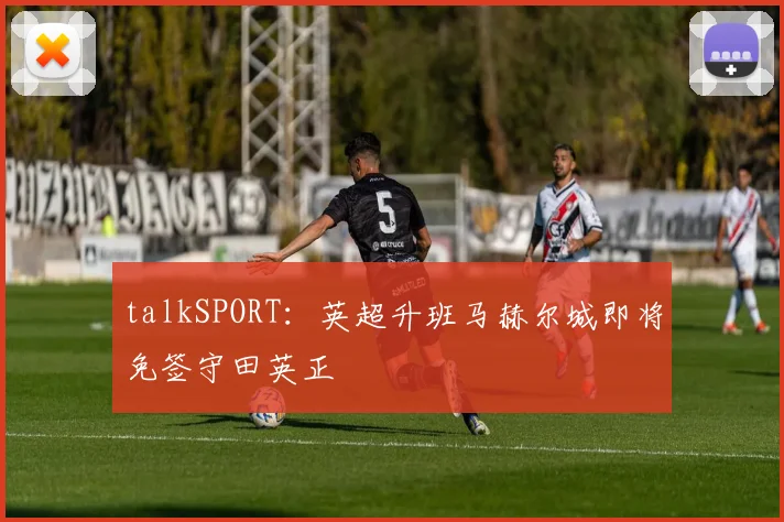 talkSPORT:英超升班马赫尔城即将免签守田英正